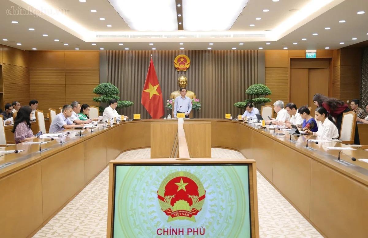 Rà soát toàn bộ quy trình liên quan về cấp mã số vùng trồng