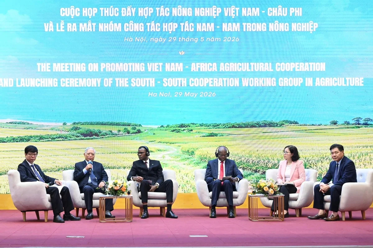 Việt Nam - châu Phi tìm điểm giao chiến lược trong nông nghiệp